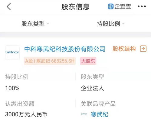 寒武紀(jì)南京新公司成立，強化人工智能軟件開發(fā)布局