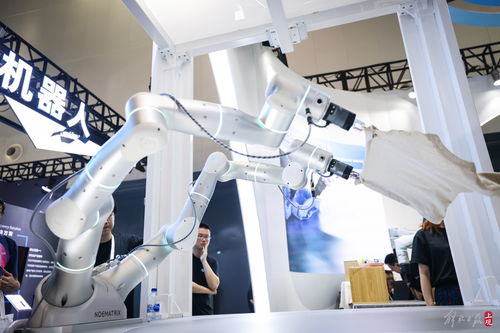 共商人工智能未來 世博展覽館再掀AI熱潮，聚焦人工智能基礎(chǔ)軟件開發(fā)